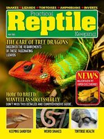 Practical Reptile Keeping